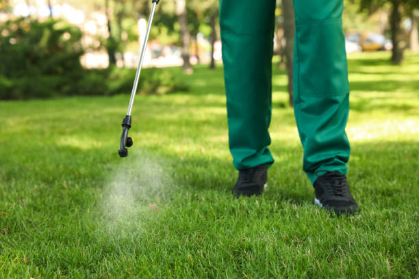 Best Mosquito Control Services  in Unionville, NC