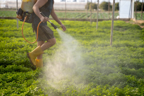 Best Best Pest Control Companies  in Unionville, NC