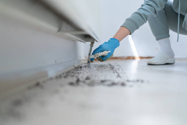 Professional Pest Control in Unionville, NC